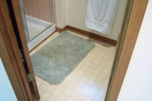 Shower Floor Before Remodel